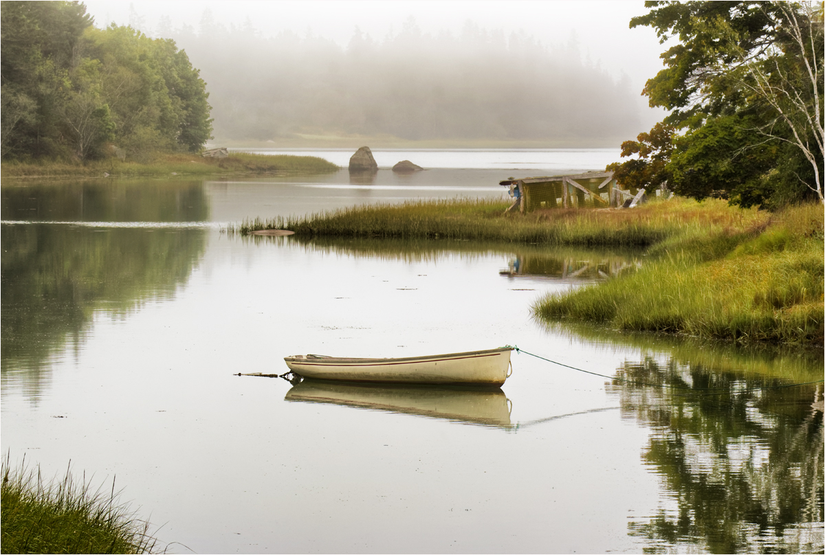 Foggy Maine Morning